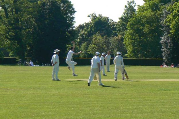 People playing cricket on a summer's day