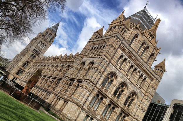 Natural History Museum, London, April 2013