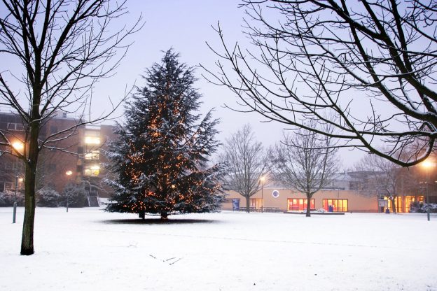 Christmas tree