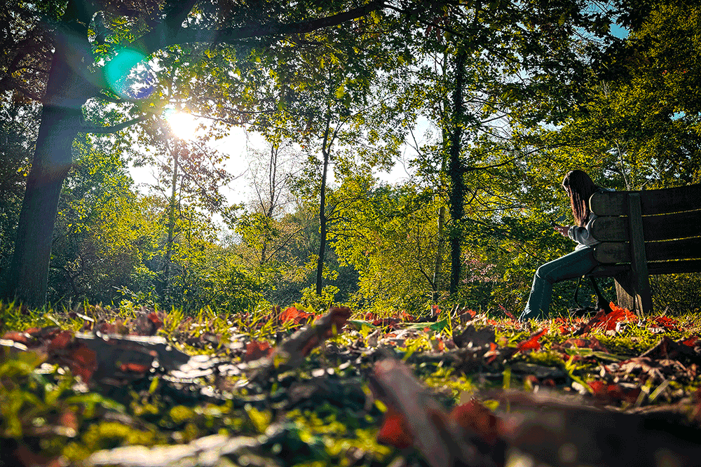 Student sat at bench with autumn leaves on ground
